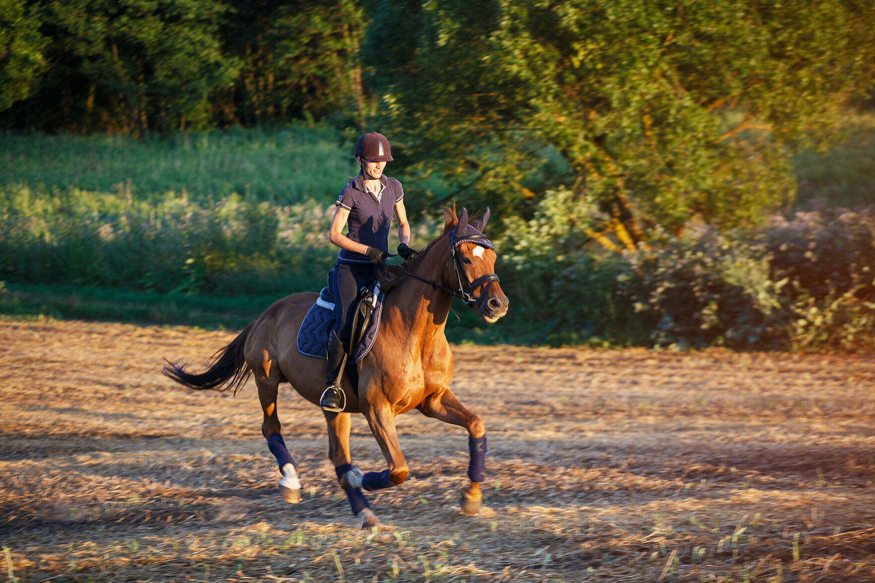 Horseback riding